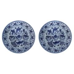 Pair of Chinese White and Blue Fish Decorative Plates