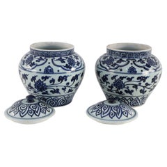 Pareja de jarras de jengibre de porcelana con tapa de motivos blancos y azules