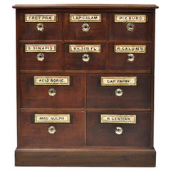 Vintage 19th Century Mahogany Apothecary Medicine Cabinet w/ 10 Drawers and Glass Pulls