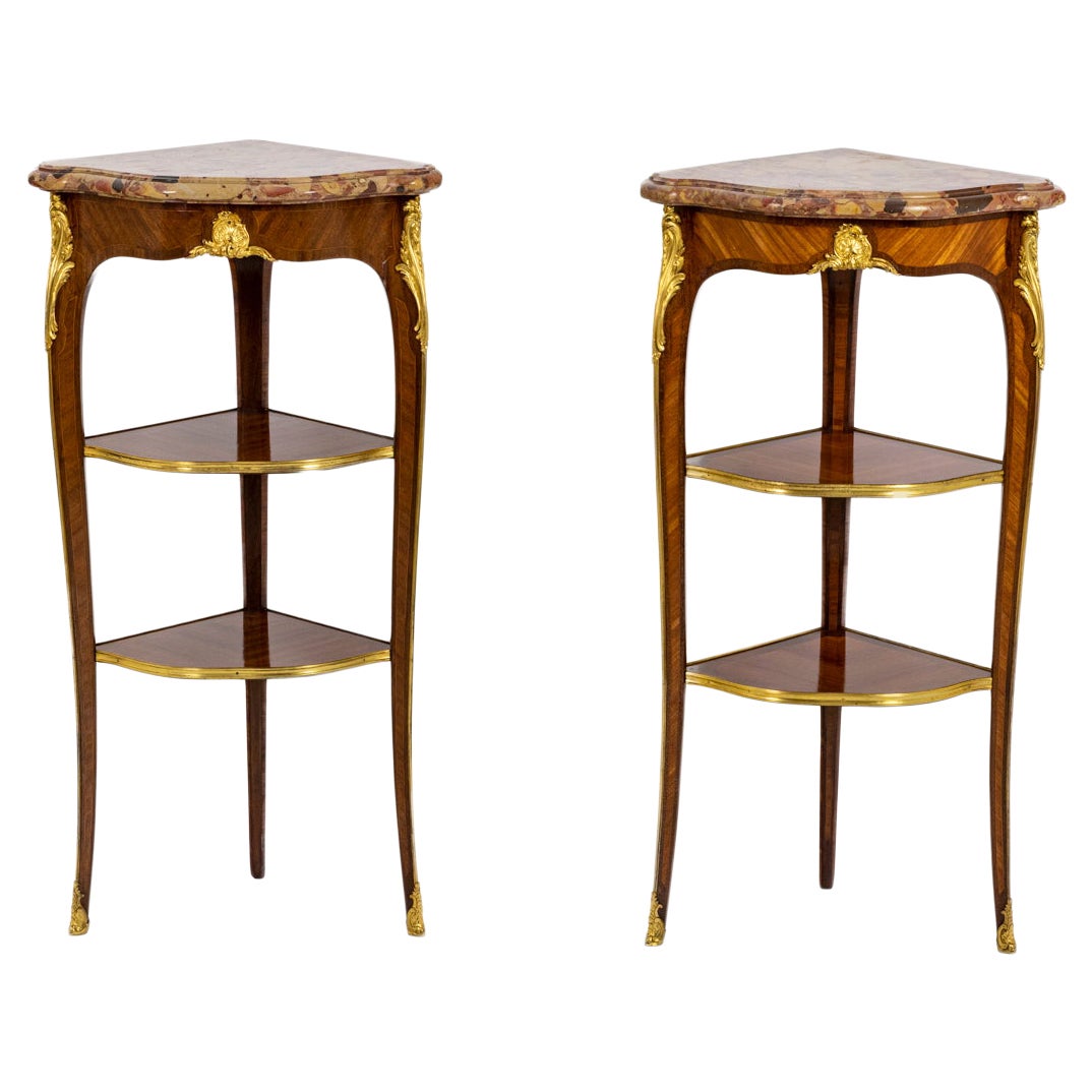 Germain-Maximilien Durand, Pair of Veneer Corner Consoles, circa 1880, LS460619