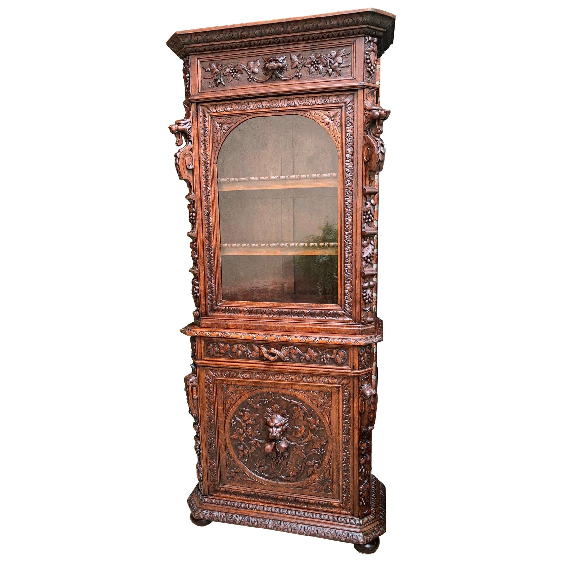 Antique French Carved Oak Cabinet Bookcase Renaissance Lion Black Forest Vitrine