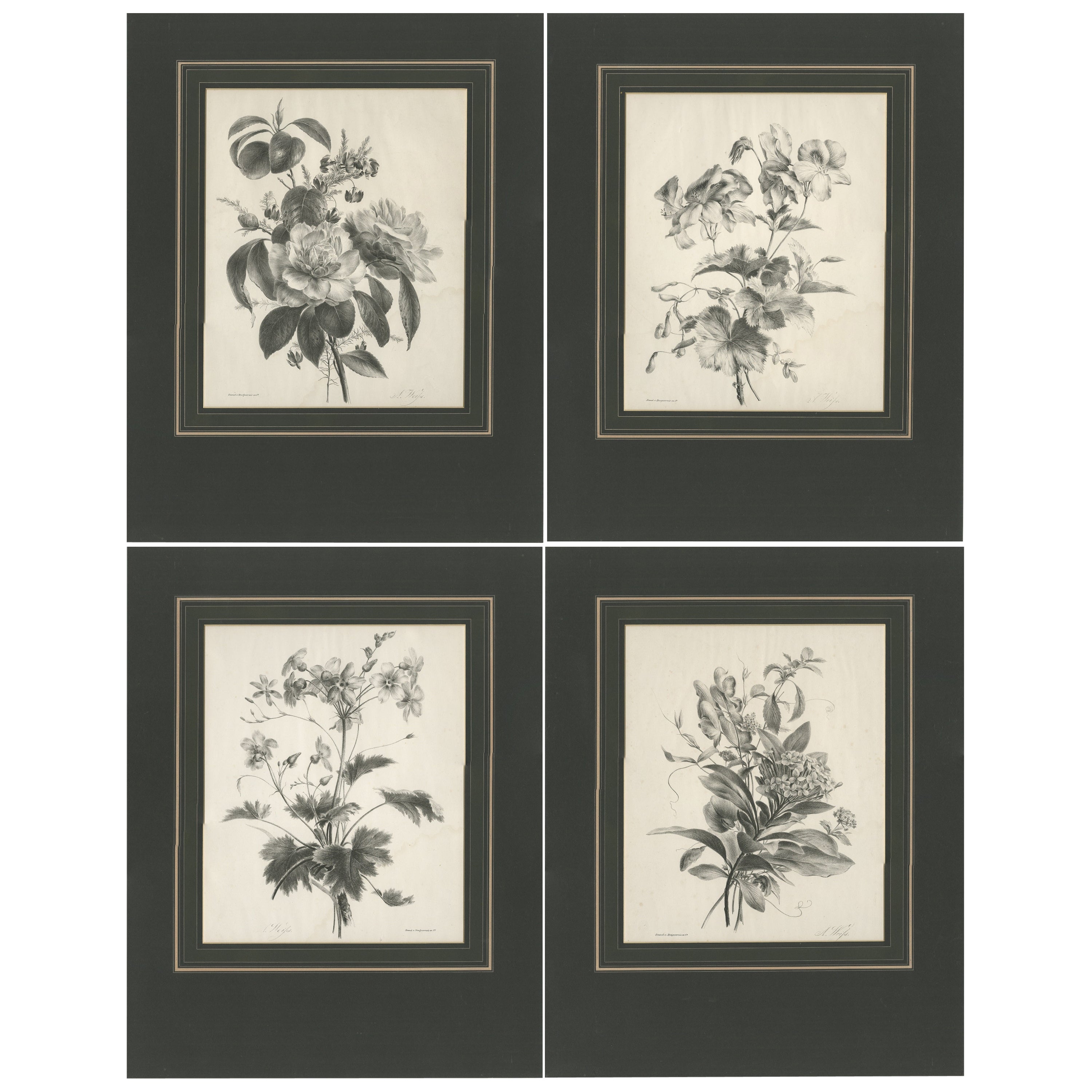 Set of 4 Antique Prints of Various Flowers by Desguerrois 'c.1830'