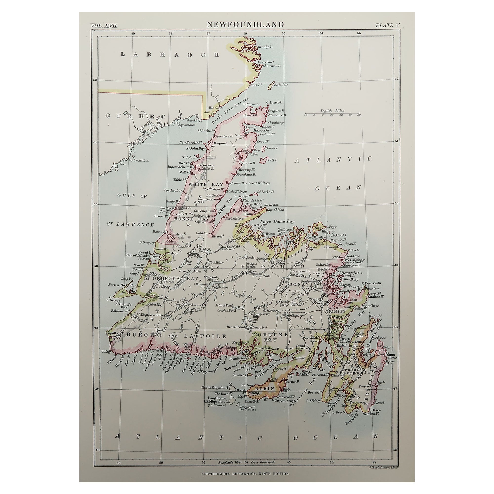 Original Antique Map of Newfoundland, 1889