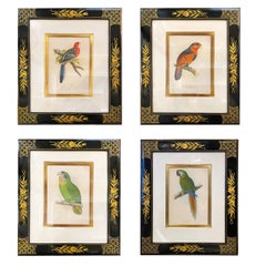 Set of Four Framed Hand Colored Engravings of Birds