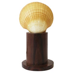Scallop Seashell Lamp, Small
