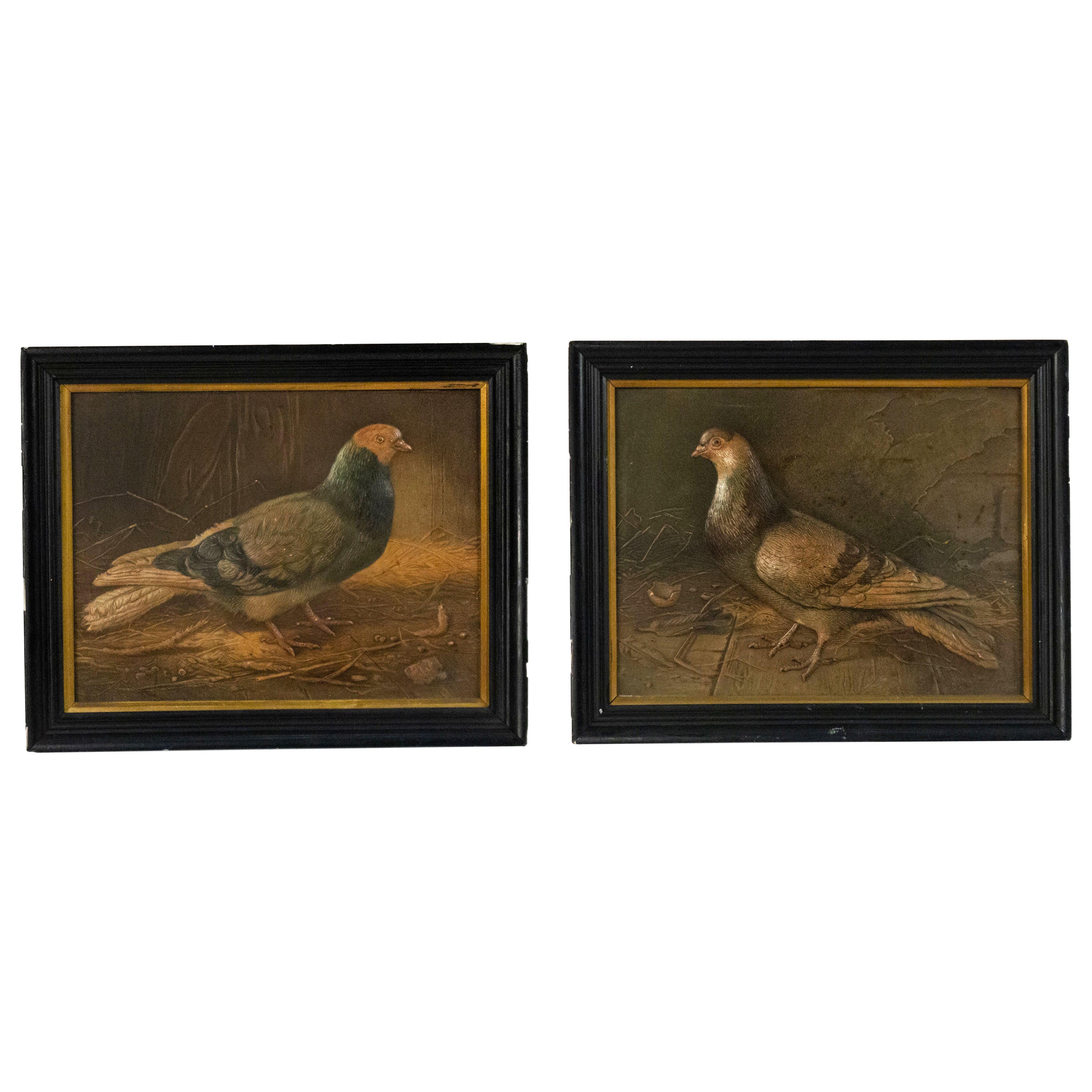 Pareja de cucharas inglesas victorianas para pájaros