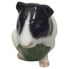 Bing & Grondahl Figurine of Guinea Pig No 2499