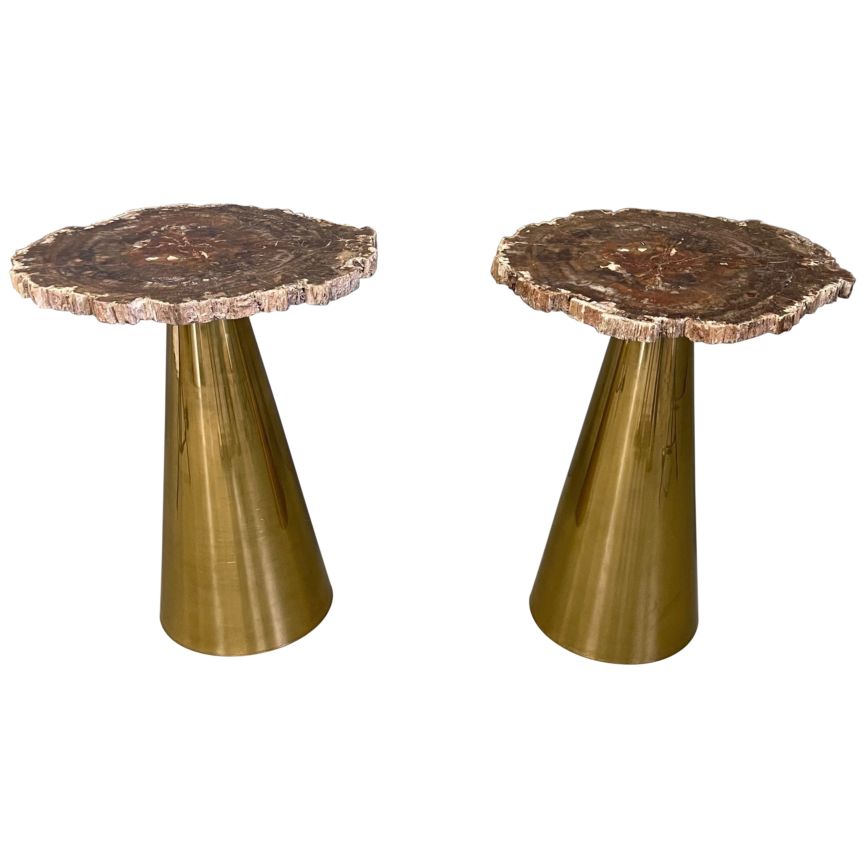 Rare Pair of Italian in Brass Tables with Petrified Wood Tops