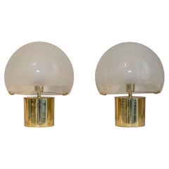 Pair of "Porcino" Table Lamp with Brass Basement