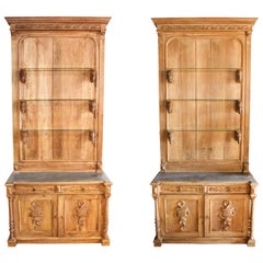 Vintage Pair of Bookcase Cabinets, circa 1860, France