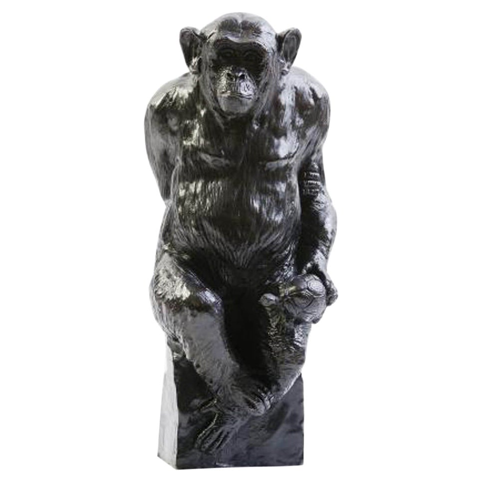Bronze Chimpanzee Named "Socrate and his Turtle" by Damien Colcombet, France