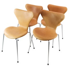 Set of 4 Seven Chairs, Model 3107, by Arne Jacobsen and Fritz Hansen, 1973