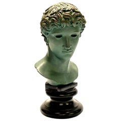 Apollo Faux Bronze Museum Replica Bust by Alva Studio