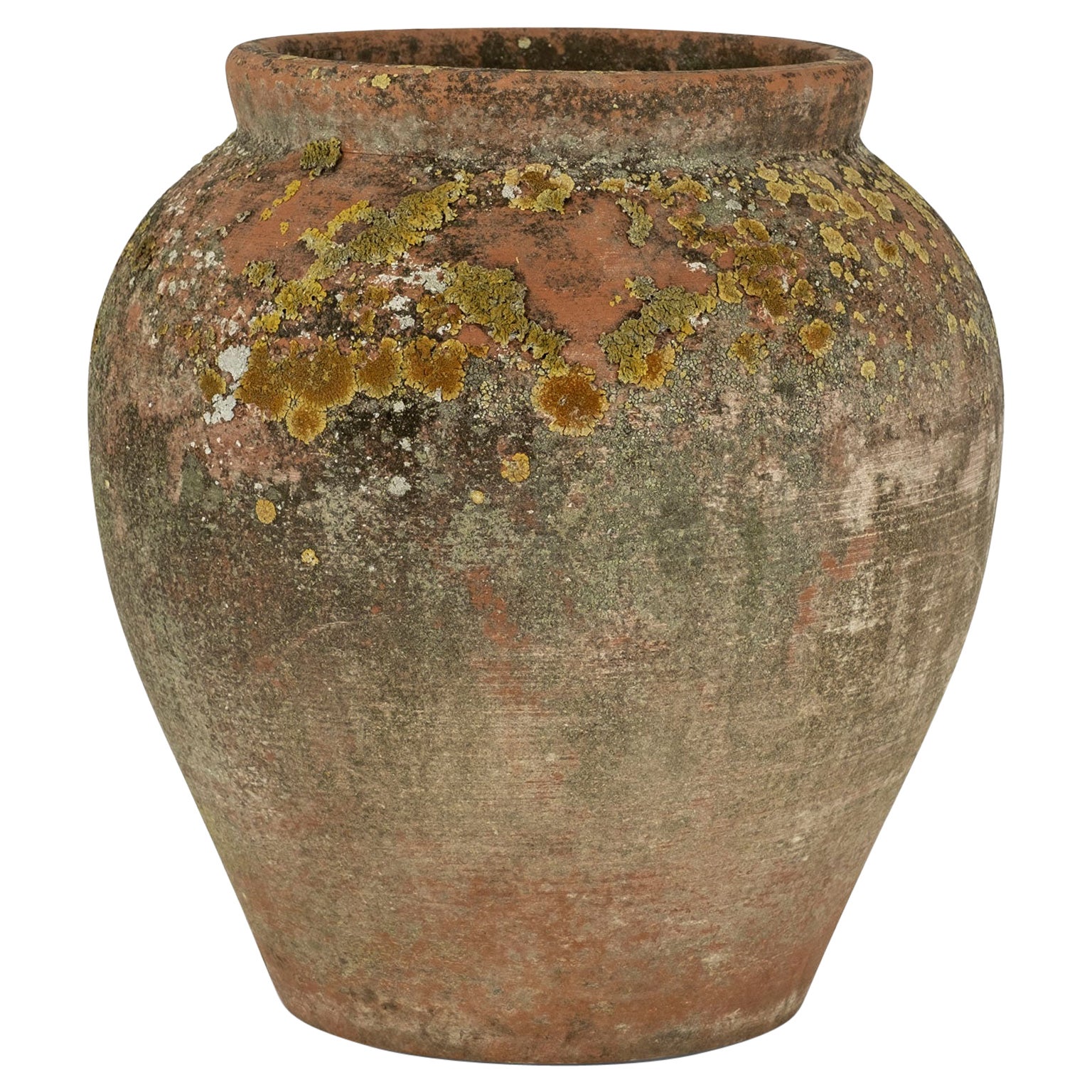 Antique Urn-Shape Terracotta Pot