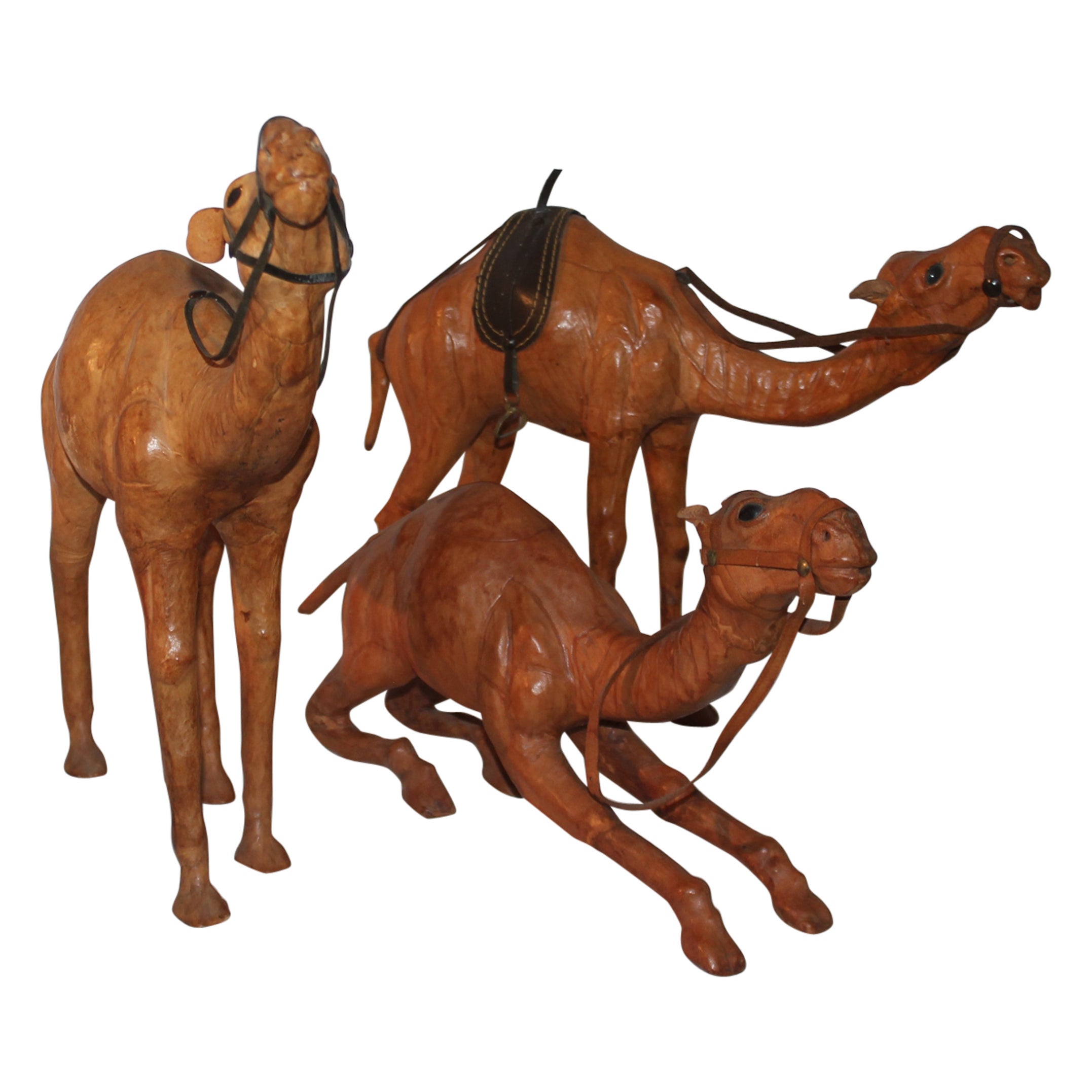 Collection of the Three Wise Men's Camels For Sale