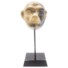 Antique Continental German Terra-Cotta Monkey Mask