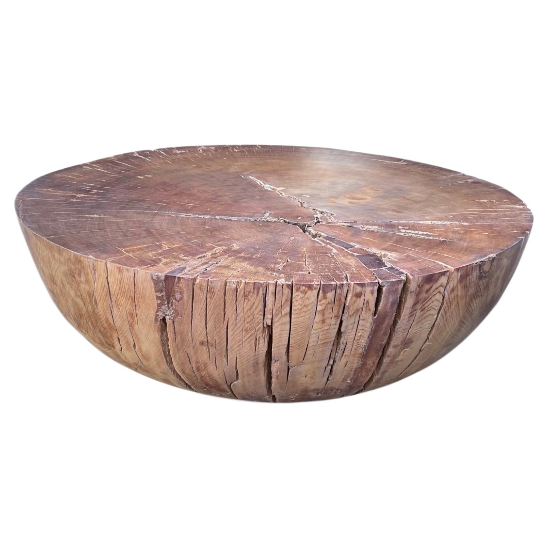 Modern Organic Drum Coffee Table made from New Zealand Ancient Swamp Kauri Wood For Sale