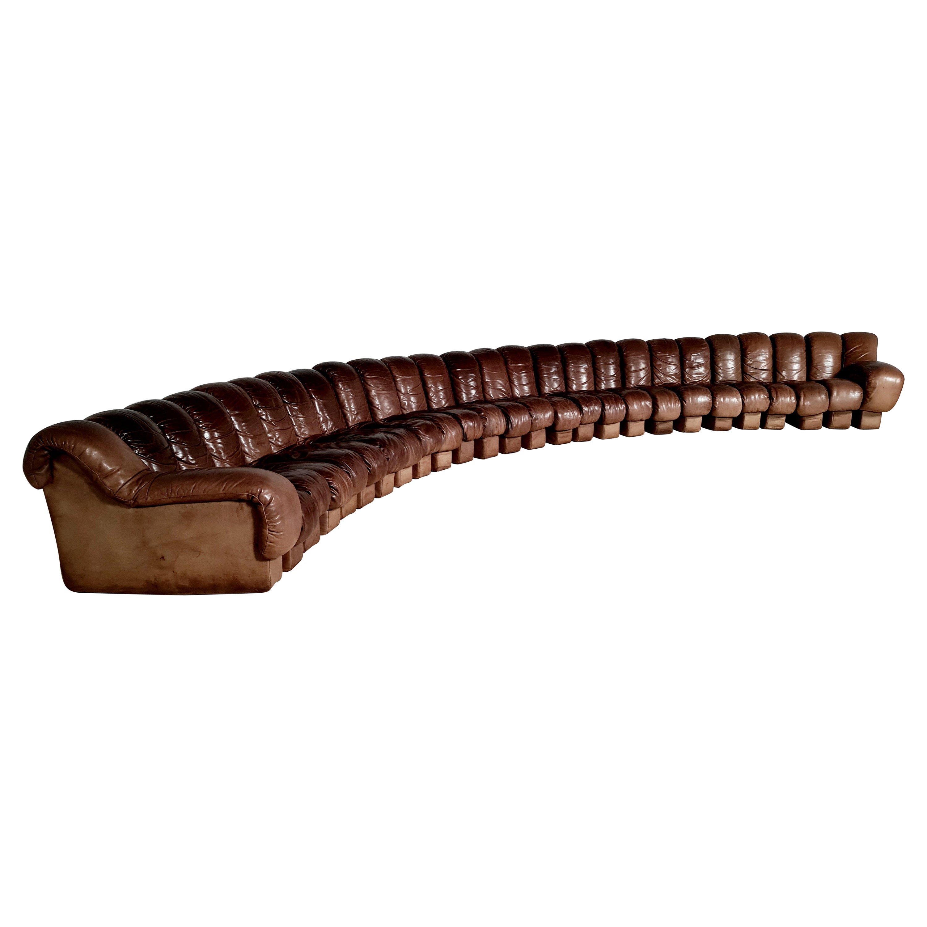 De Sede DS-600 'Snake' Sofa in Full Leather, 1970s