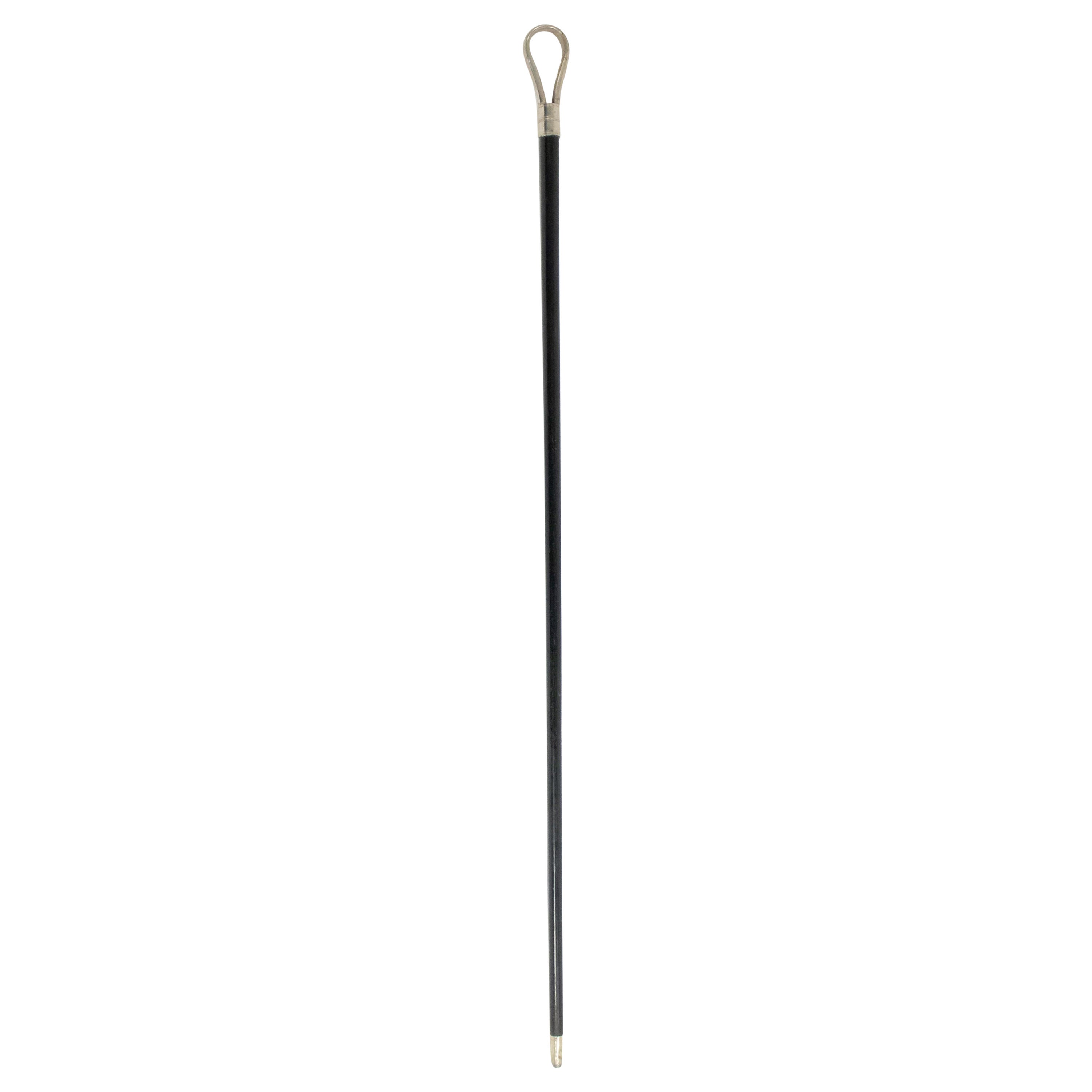 English Victorian Ebonized Cane with Stirrup Top For Sale