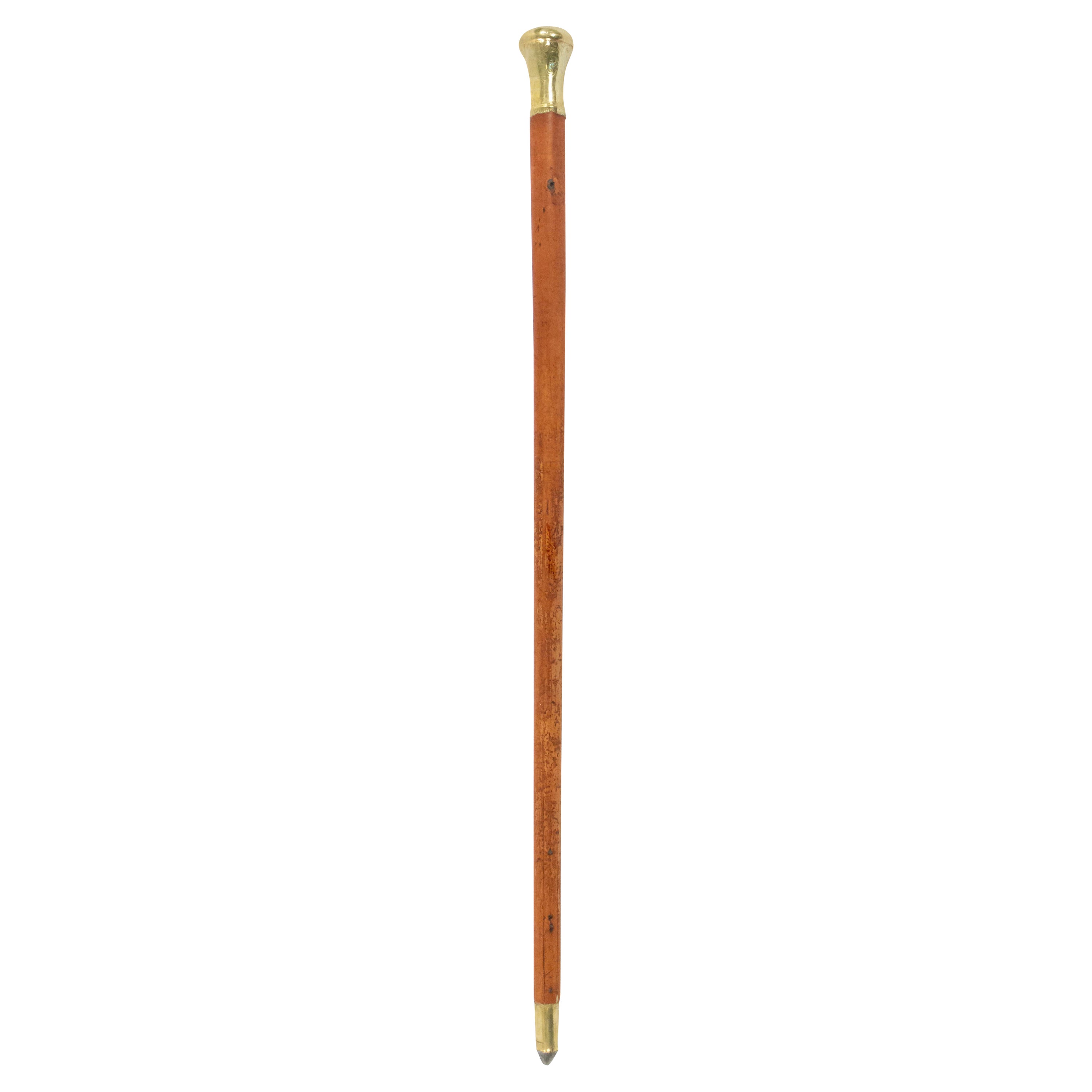 English Victorian Wood and Brass Cane For Sale