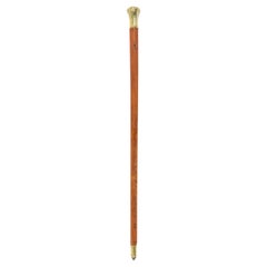 English Victorian Wood and Brass Cane