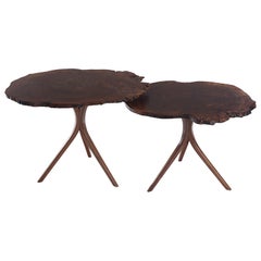 Handcrafted Sculptural Burl End Table Steam Bent Tripod Legs
