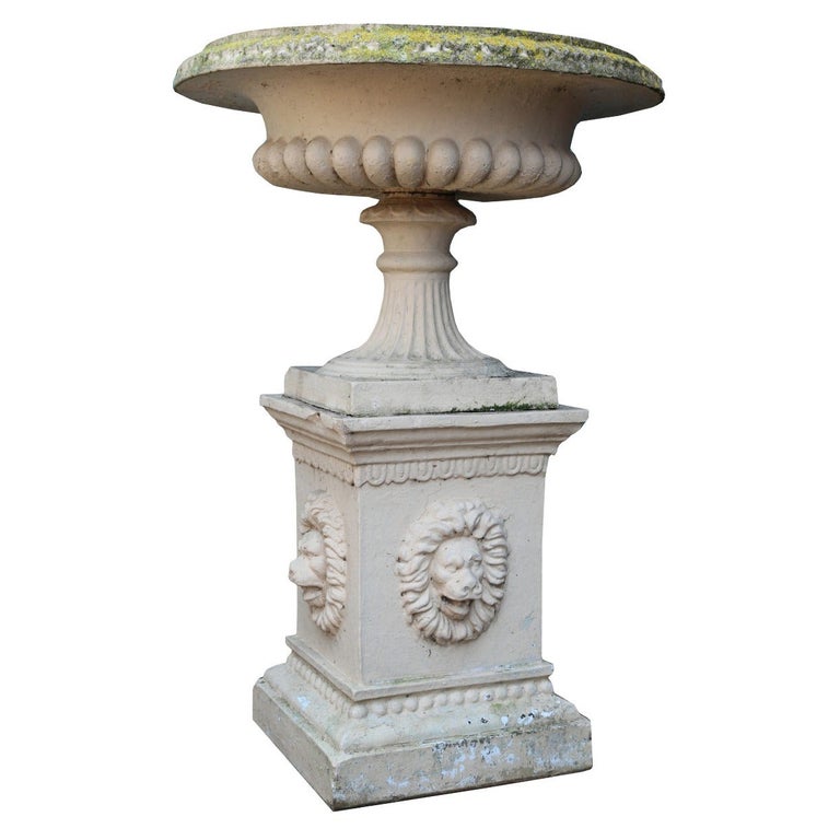 Antique Buff Terracotta Tazza Urn on Pedestal For Sale at 1stDibs