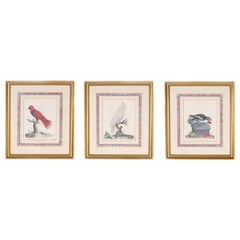 Three Antique Hand Colored Engravings of Birds