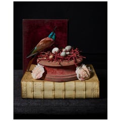 Les Peintures des Taxidermistes Nr. 1. Kunstdruck Foto von Sinke & Van Tongeren