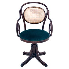 Thonet Swivel Armchair, Poland, Mid 20th Century, After Renovation