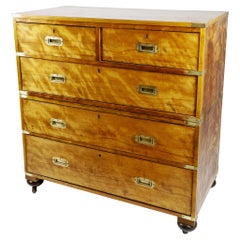 British Campaign Chest of Drawers in Flame Birch