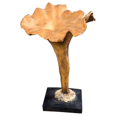 Life-Size Papier Mâché Chanterlle Mushroom