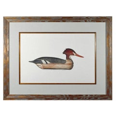 Arthur Nevin Druck eines rot gesprenkelten Merganser Duck Decoy, Beach Haven, NJ