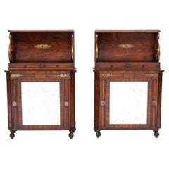 Antique Pair of English Regency Style Rosewood Side Cabinets