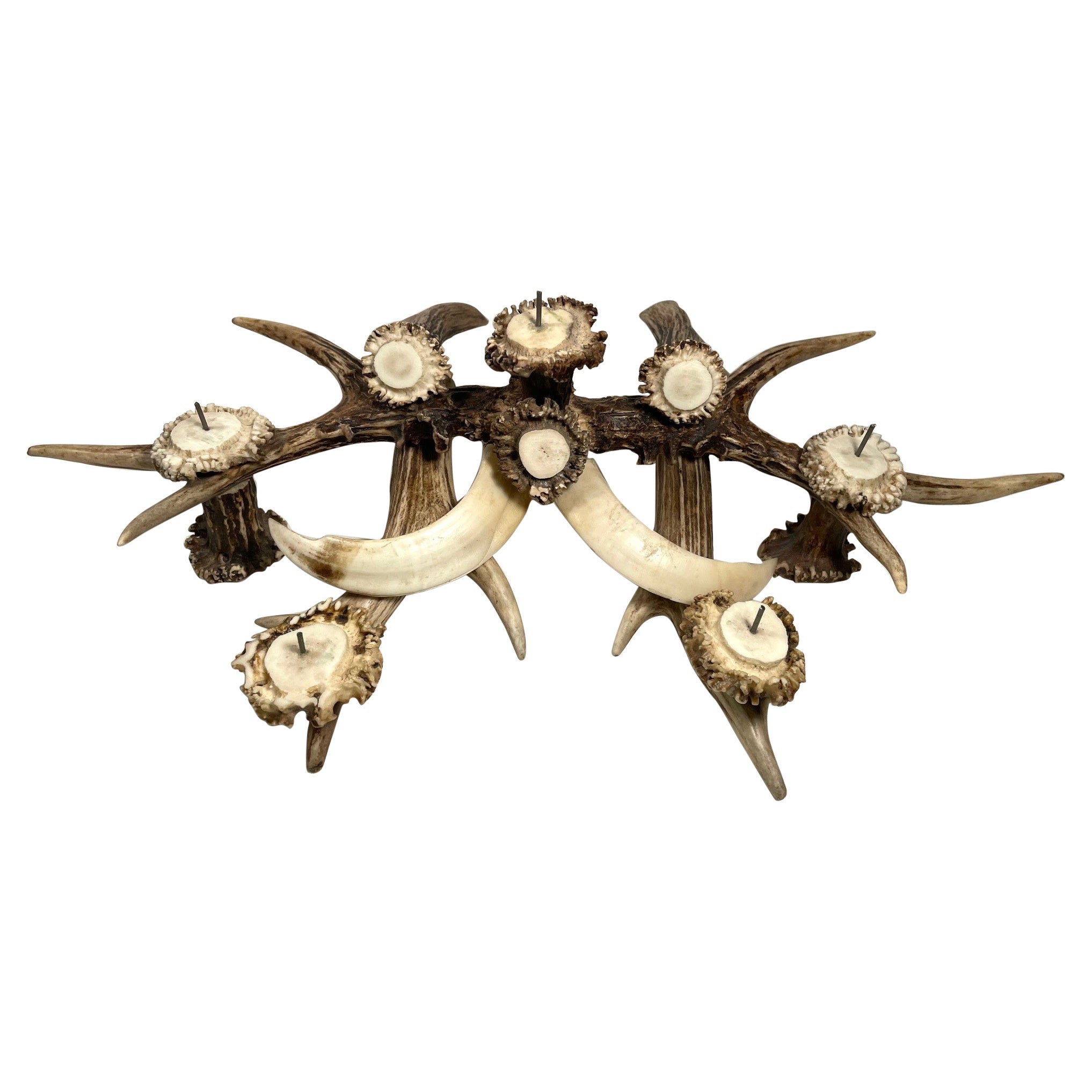 Antler and Boar Tusks Candle Holder Centerpiece For Sale