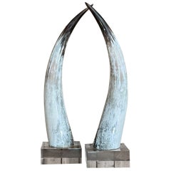 Extra Large Steer Horns on Lucite Bases
