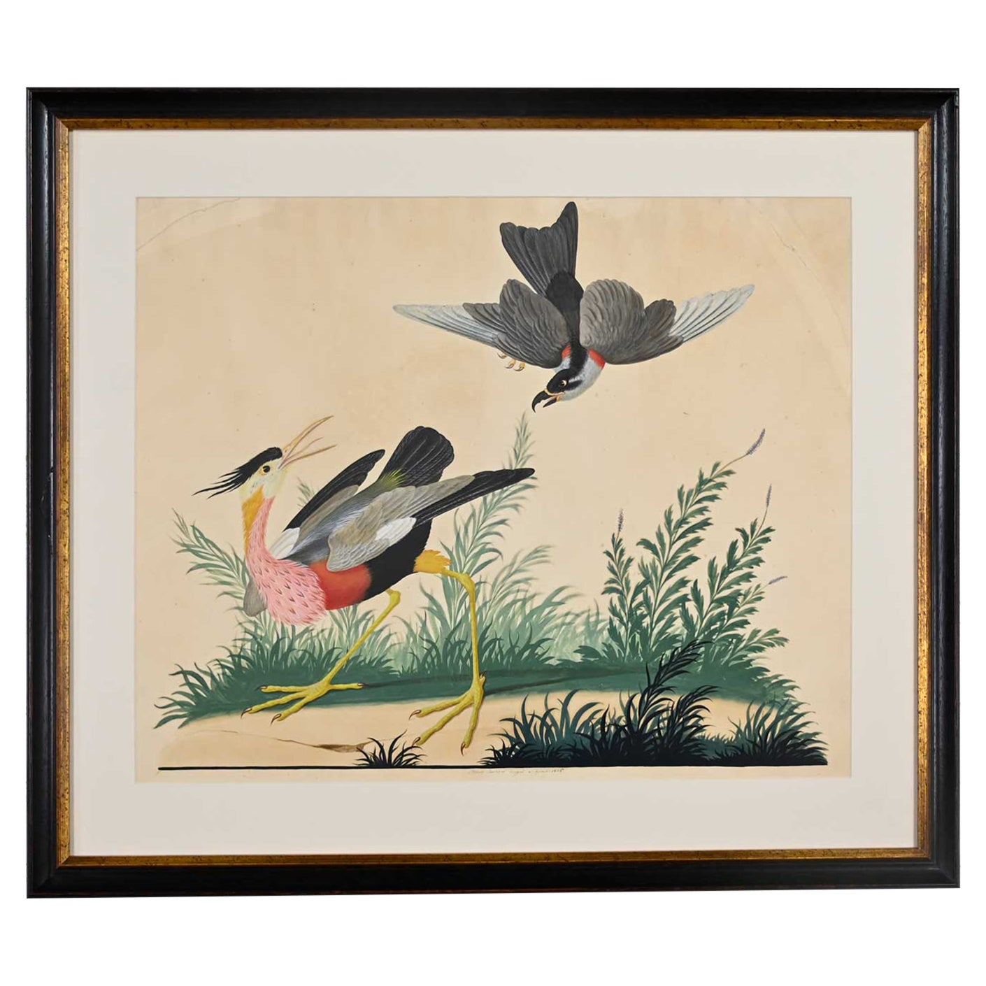 Vintage Vittorio Raineri Authentic Signed Watercolor Painting Exotic Birds, 1836