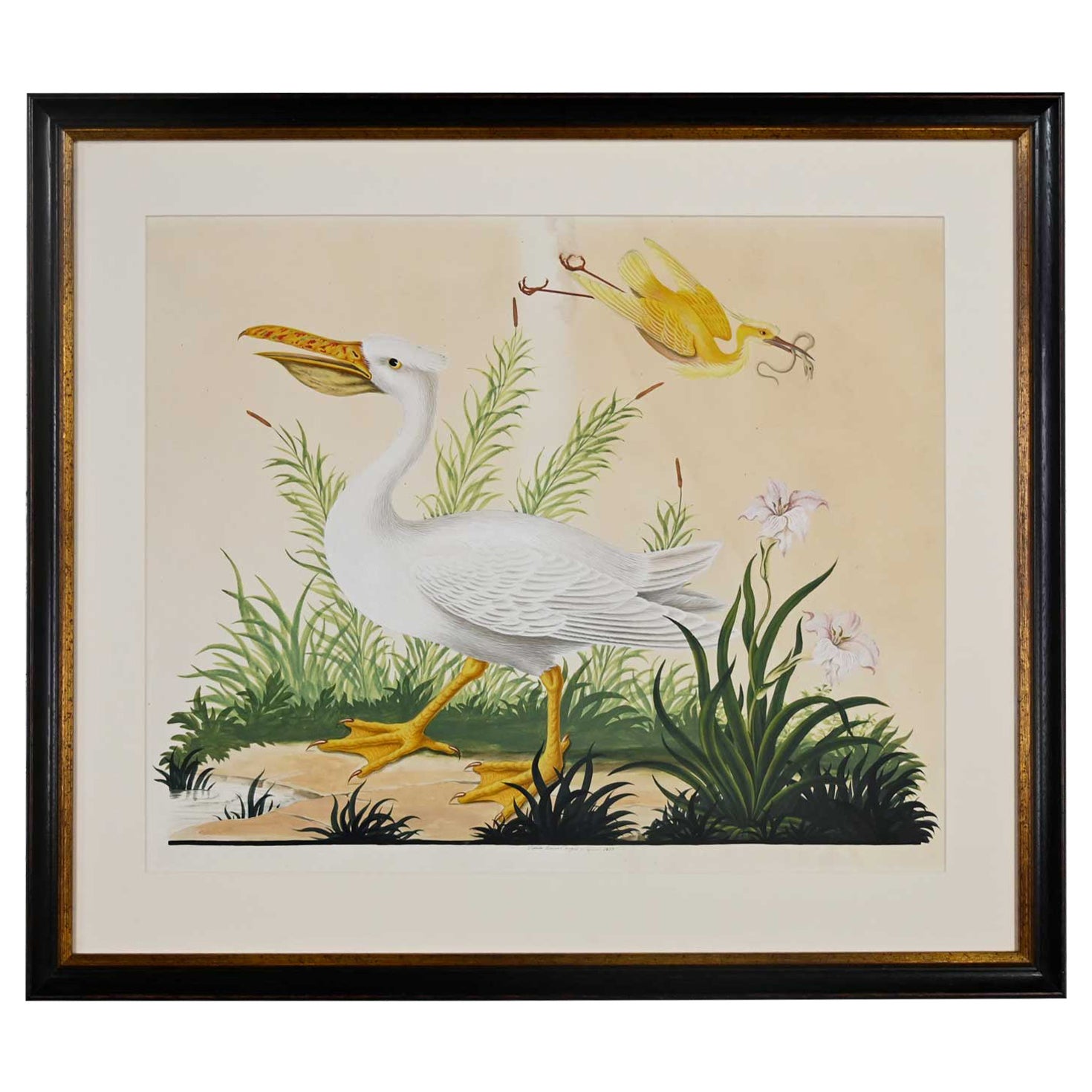 Vintage Vittorio Raineri Watercolor Painting of Pelican & Egret, 1837
