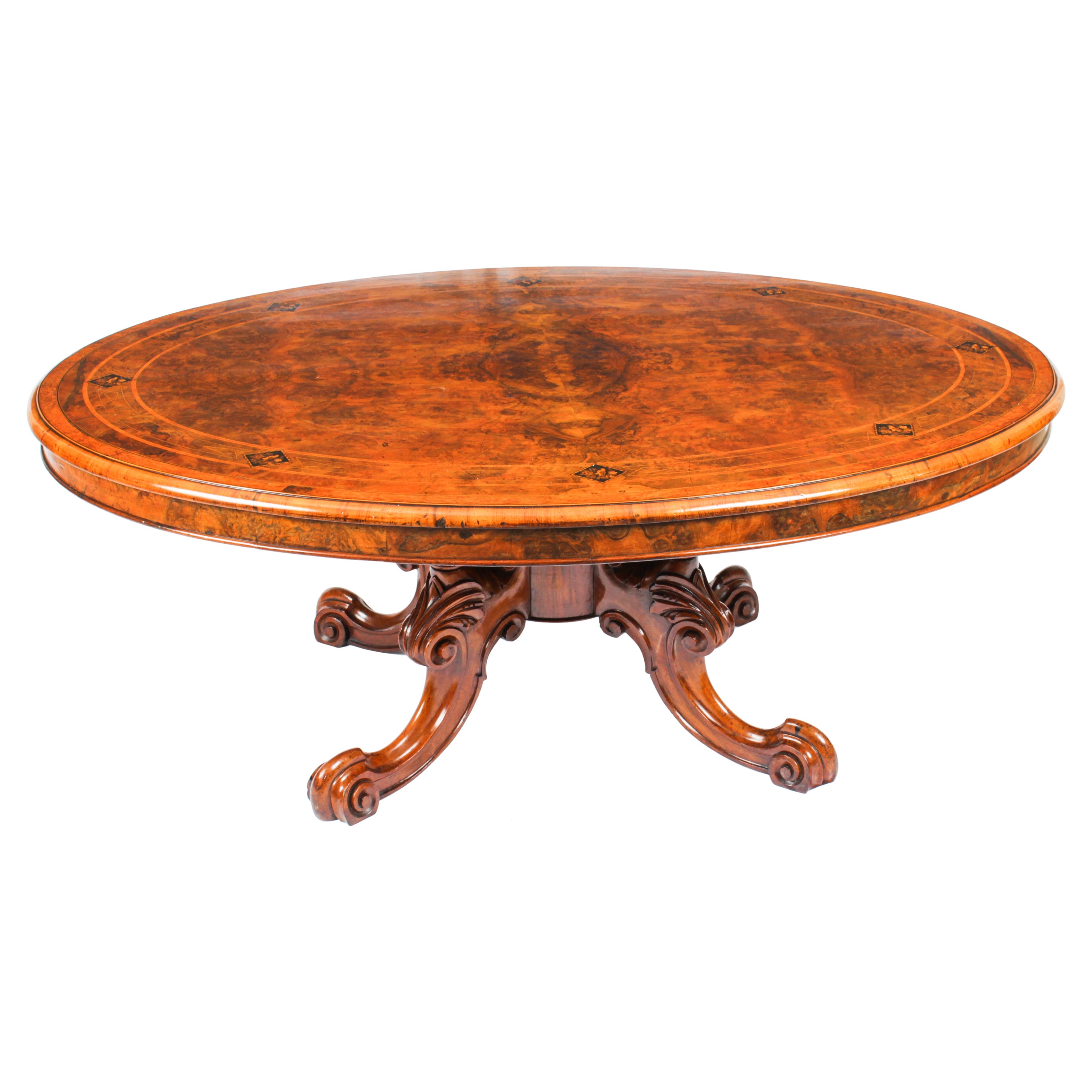 Antique Burr Walnut Oval Coffee Table 19th Century