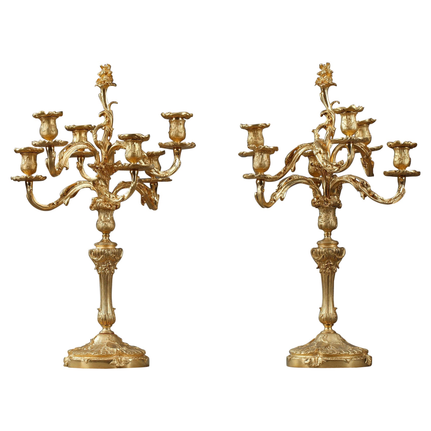 Pair of Rocaille Style Candelabras in Gilt Bronze
