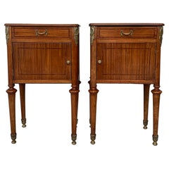 French Antique Pair of Bedside Tables or Cabinet, Nightstands, circa 1890