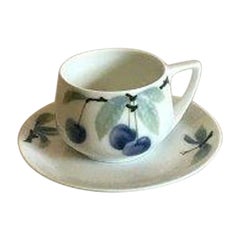 Rosenthal Donatello Blue Cherry Coffee Cup and Saucer