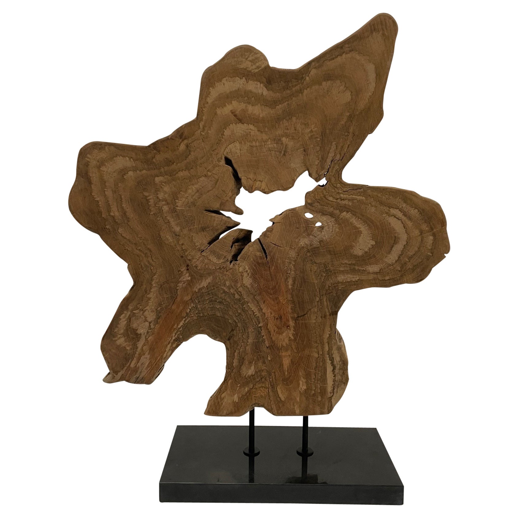 Gutsy Organic Modern Amoeba Shaped Wood Sculpture with Granite Base