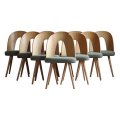 Set of 10 Midcentury Dining Chairs by A.Šuman, Customizable Upholstery Available