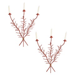 Pair of Coral Sconces