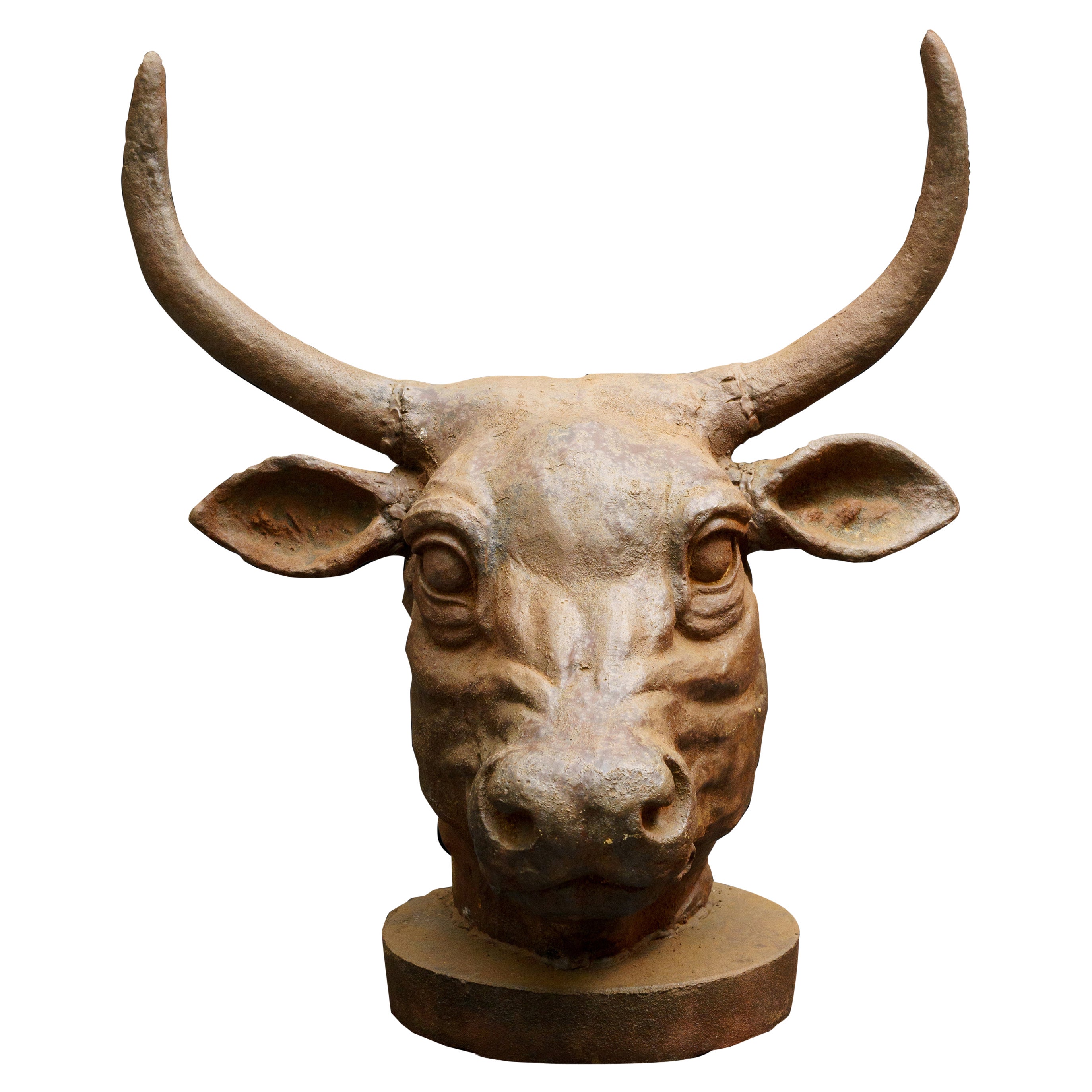 Life Size Cast Iron Bulls Head Bust