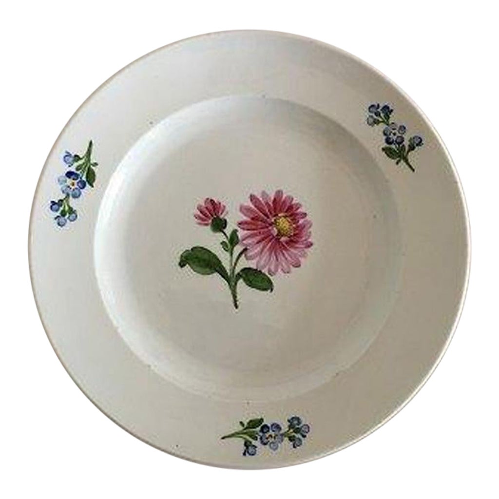 Meissen Dinner Plate with Flower Decoration For Sale