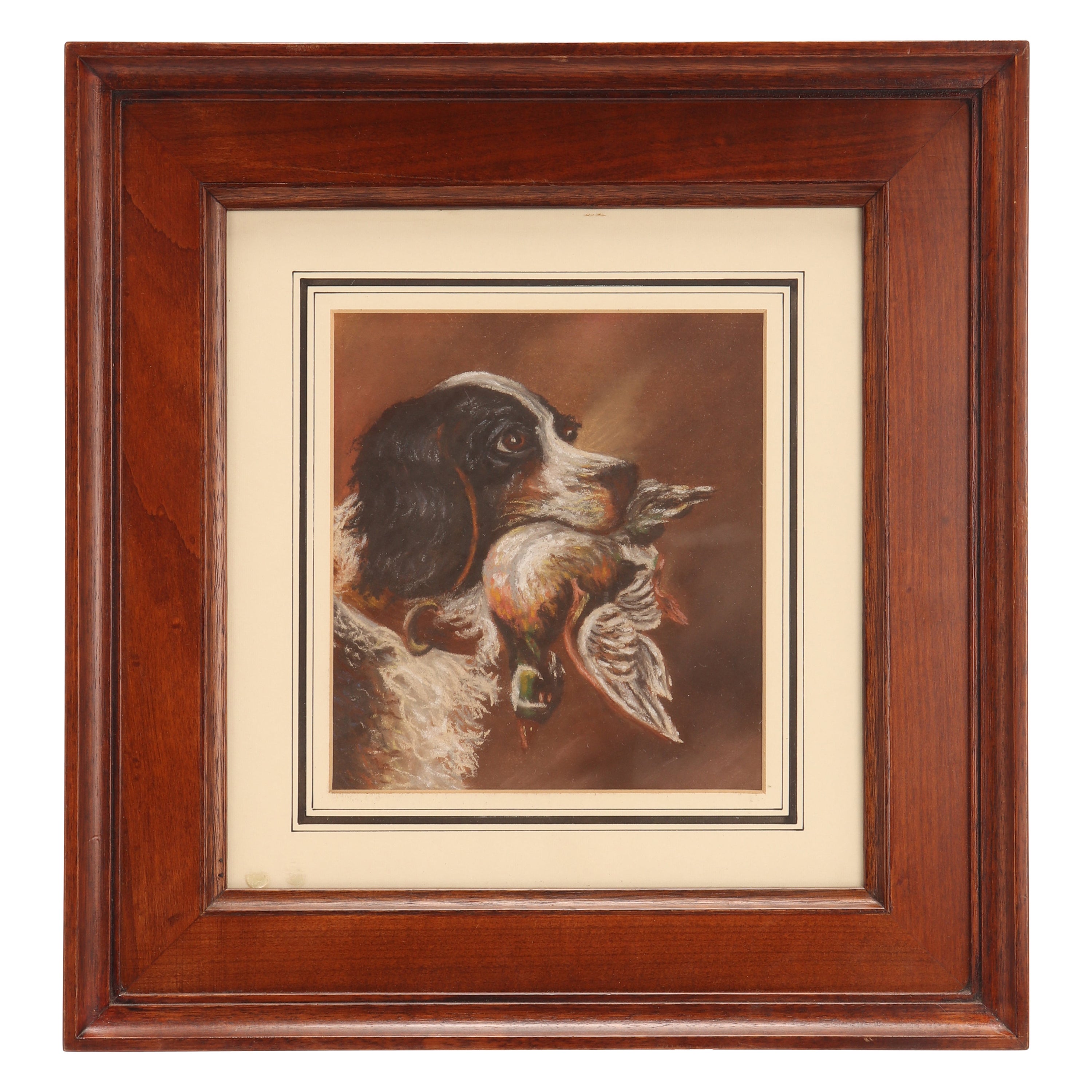 Peinture au pastel représentant la tête d'un chien épagneul, Angleterre, 1930