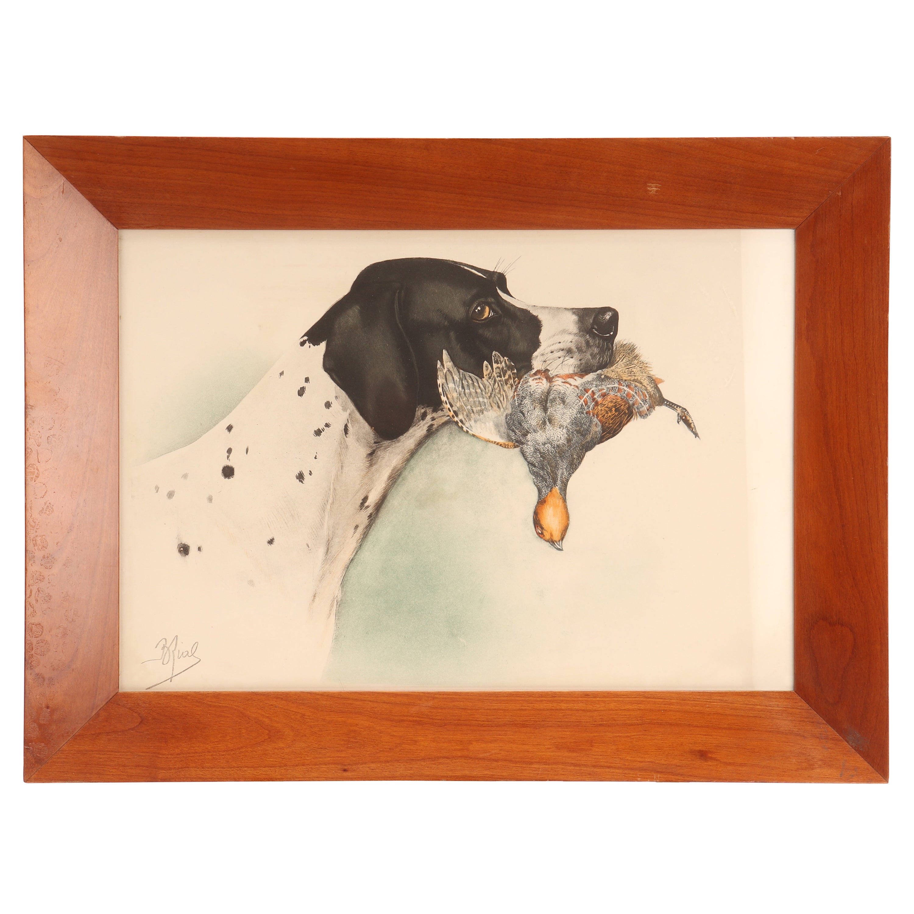 Impression à l'aquarelle représentant la tête d'un chien pointu, États-Unis, 1920