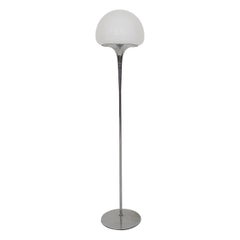 Opaline Glass and Chrome Floor Lamp by Goffredo Reggiani, Italy 1960's